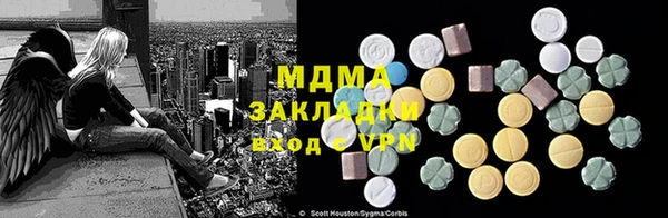 прущие грибы Абинск