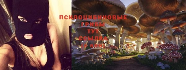 первитин Алексеевка