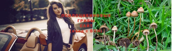 первитин Алексеевка