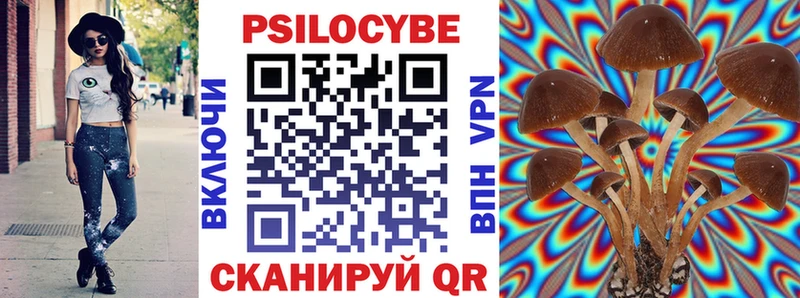 Галлюциногенные грибы Psilocybine cubensis Кашин
