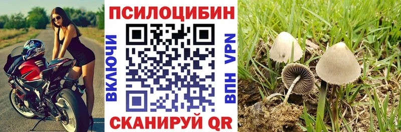 Псилоцибиновые грибы Psilocybine cubensis  купить закладку  Кашин 
